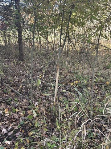 928 Flint Road, Coldwater, MI 49036