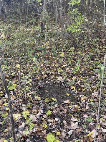 928 Flint Road, Coldwater, MI 49036