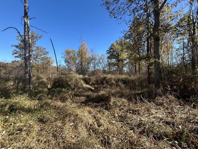 928 Flint Road, Coldwater, MI 49036