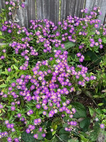 5421 Maggie Run Lane, Fuquay Varina, NC 27526