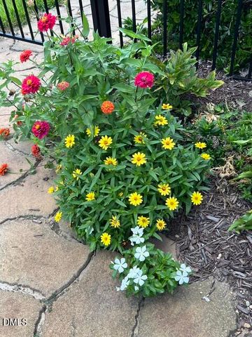 5421 Maggie Run Lane, Fuquay Varina, NC 27526