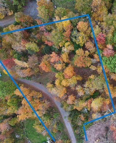 TBD Kornell Drive, Haines Falls, NY 12436