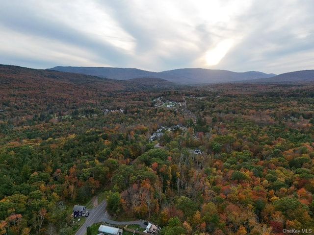 TBD Kornell Drive, Haines Falls, NY 12436