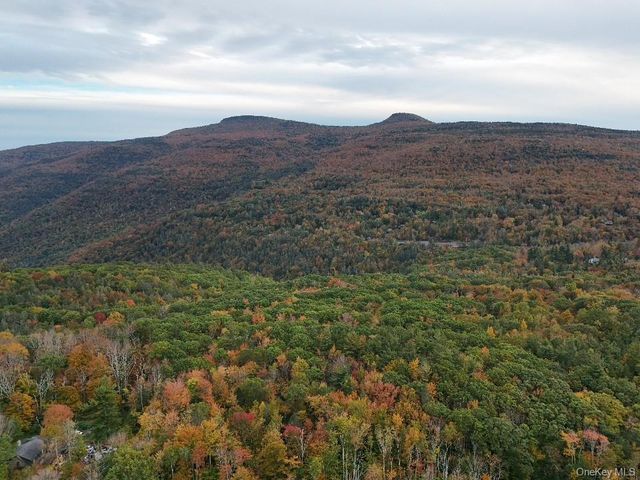 TBD Kornell Drive, Haines Falls, NY 12436