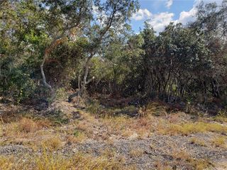 S DISSTON AVENUE, Tarpon Springs, FL 34689