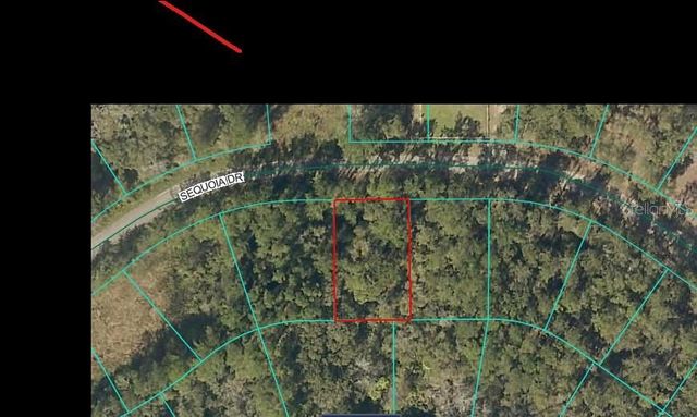 SEQUOIA DRIVE, Ocklawaha, FL 32179