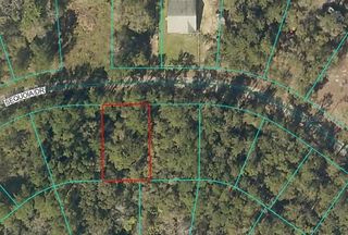 SEQUOIA DRIVE, Ocklawaha, FL 32179