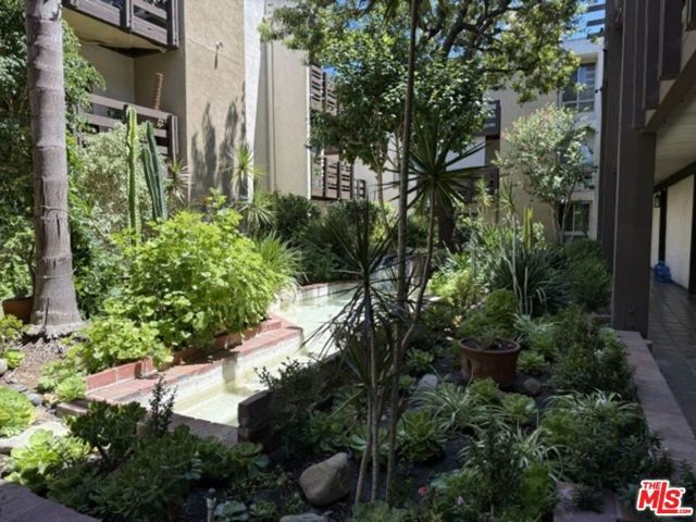 320 S Ardmore Avenue 314, Los Angeles, CA 90020