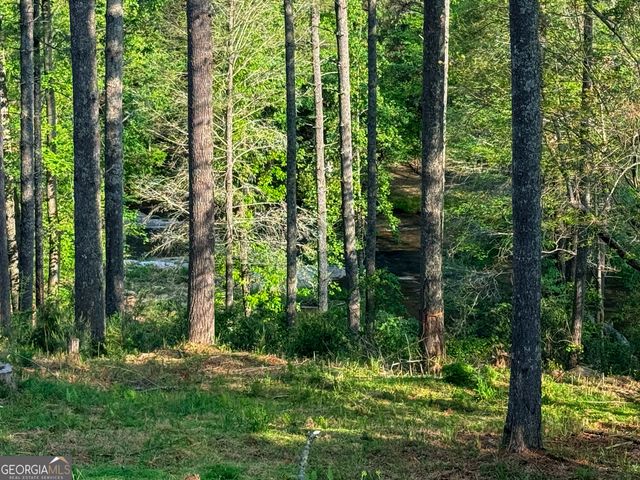 499 Old Deer Path Way, Cleveland, GA 30528