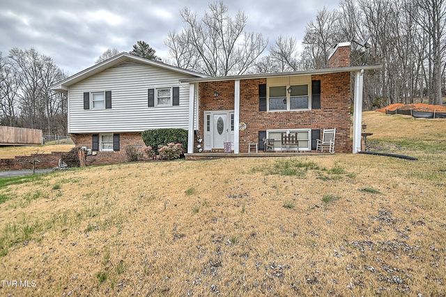 207 Herron Drive, Kingsport, TN 37663