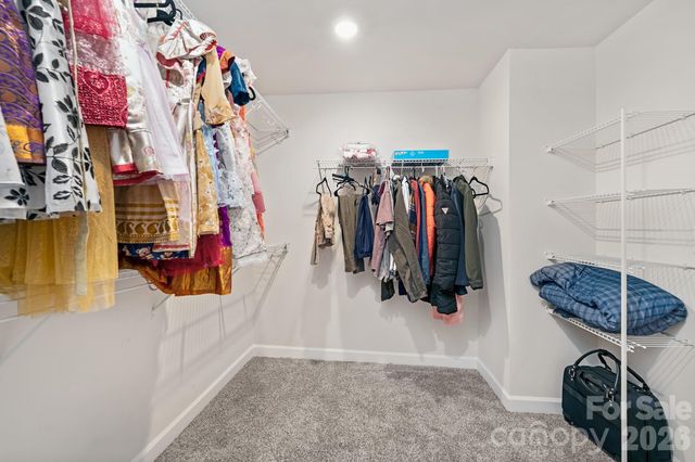 510 Palmarosa Street, Fort Mill, SC 29715