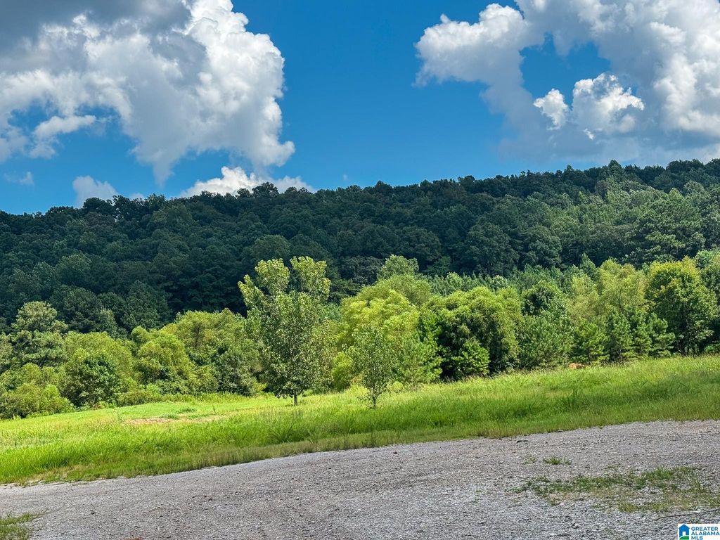 2561 HARDY ACRES ROAD, Birmingham, AL 35210