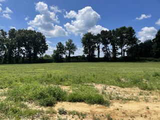 0 Hidden Hills Lane, Summertown, TN 38483