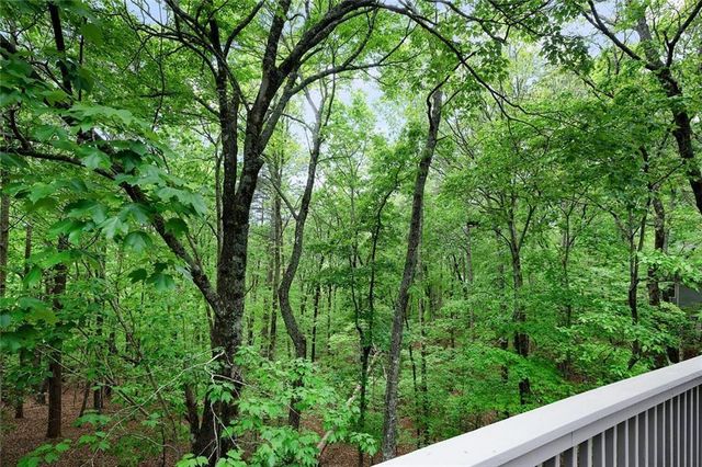 113 Yanoo Trace, Big Canoe, GA 30143