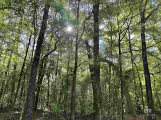 0 Kirkland Road, Brewton, AL 36426