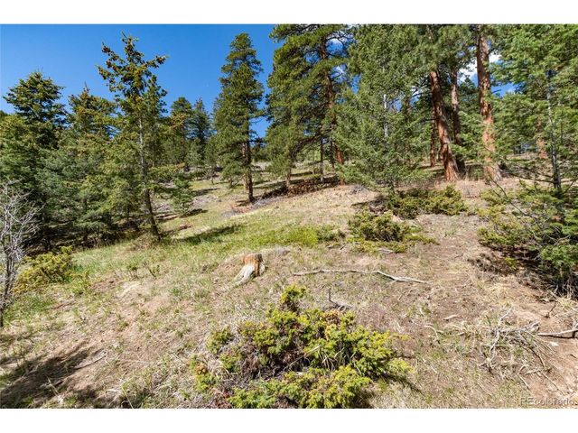 9701 City View Dr, Morrison, CO 80465