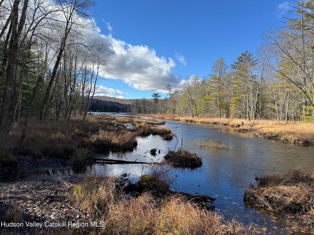 125 W Stoner Lake Road, Caroga, NY 12032