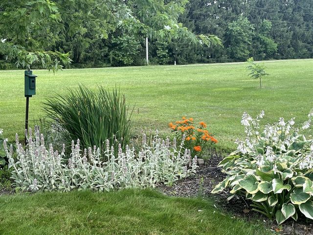 1991 Riley Street, Hudsonville, MI 49426