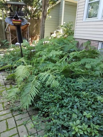 2512 E Edgewood AVENUE, Shorewood, WI 53211