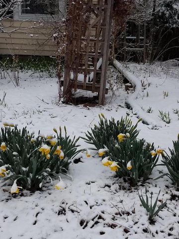 2512 E Edgewood AVENUE, Shorewood, WI 53211