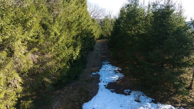 291 Parker Smith Hill Road, Guilford, NY 13733