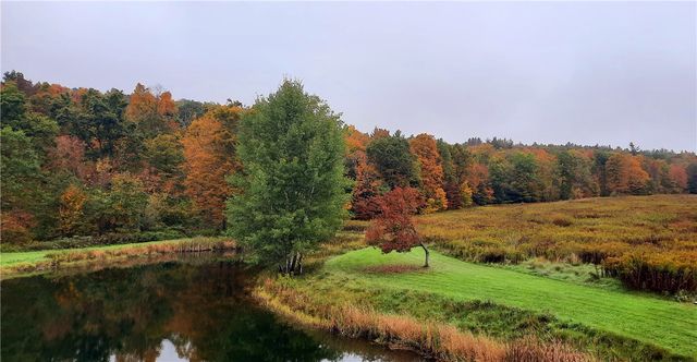 291 Parker Smith Hill Road, Guilford, NY 13733