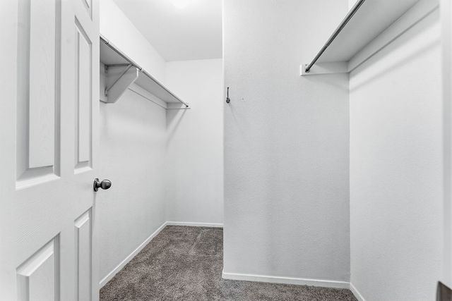 1156 S Ivory Bill Lane, Fayetteville, AR 72701