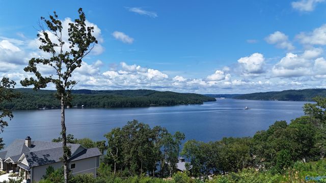 415 Boathouse Drive, Guntersville, AL 35976