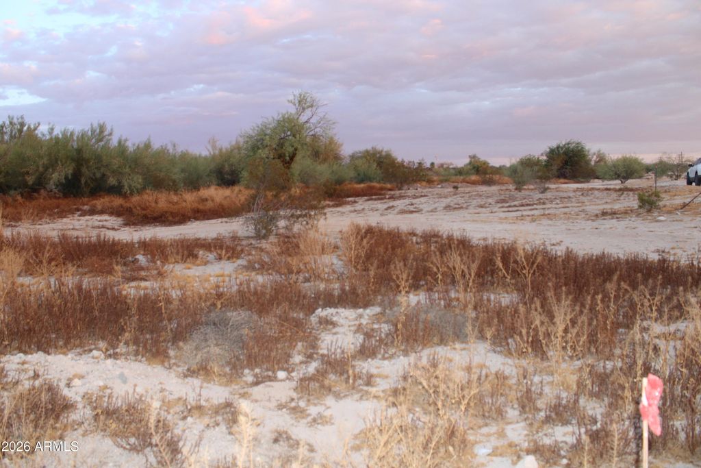 14751 S AIRPORT Road -, Buckeye, AZ 85326 — photo 4