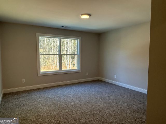 2+ ACRES Williams Mill Road, Zebulon, GA 30295