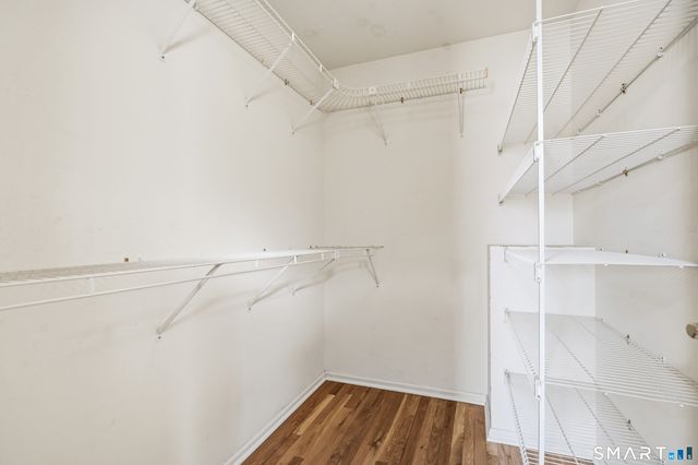 31 Saint George Place 31, Newtown, CT 06482