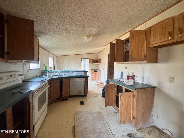 253 & 261 Waldo Rd, Rockwood, TN 37854