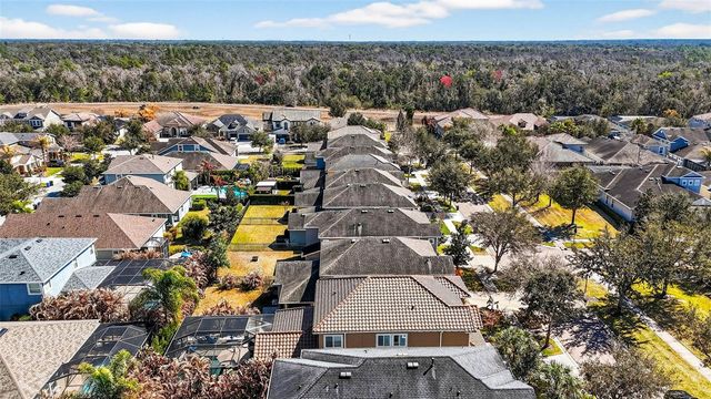 14310 BARRINGTON STOWERS DRIVE, Lithia, FL 33547