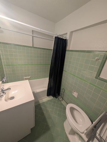 1920 Binz Street 6, Houston, TX 77004