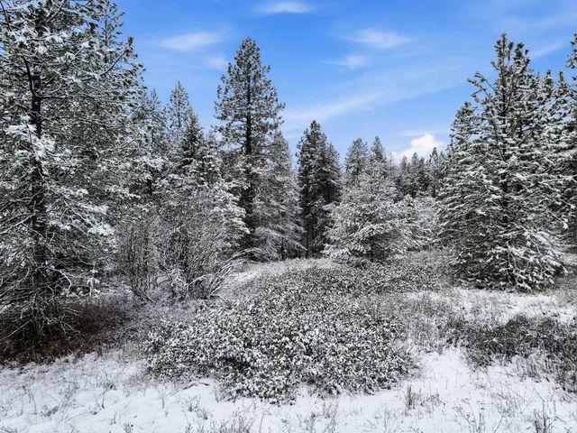 NKA Unassigned Rd, Deer Park, WA 99006