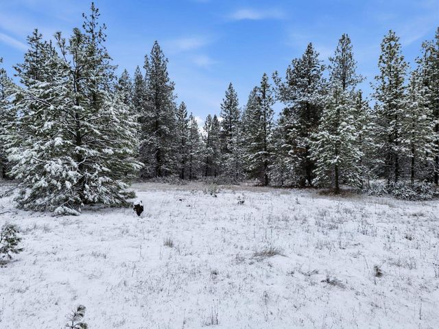 NKA Unassigned Rd, Deer Park, WA 99006