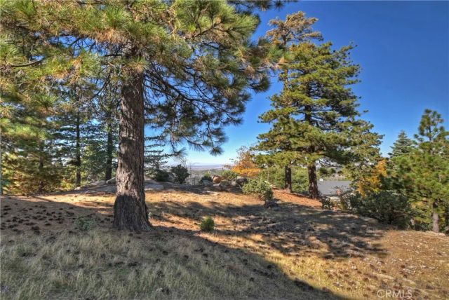 26077 Walnut Hills, Lake Arrowhead, CA 92352