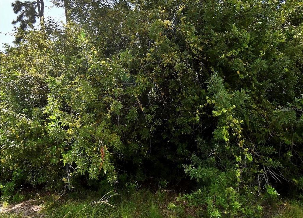 MAP AVENUE, North Port, FL 34286