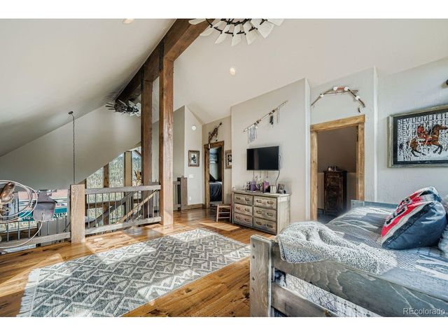 401 Timberline Trl, Fairplay, CO 80440