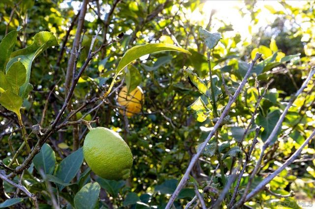 1109 Via La Cuesta, Escondido, CA 92029