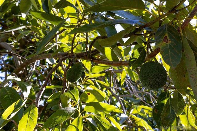 1109 Via La Cuesta, Escondido, CA 92029