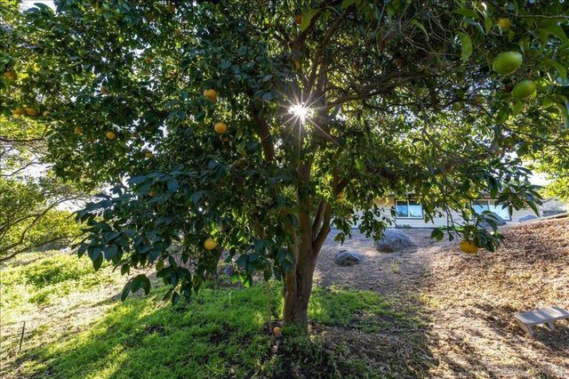 1109 Via La Cuesta, Escondido, CA 92029