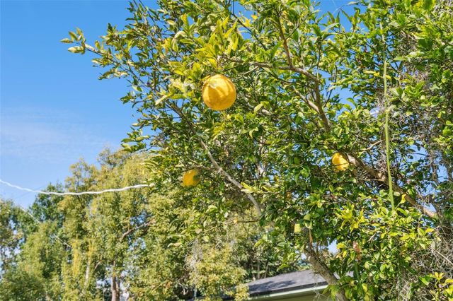 1801 LAKESHORE BOULEVARD, St Cloud, FL 34769