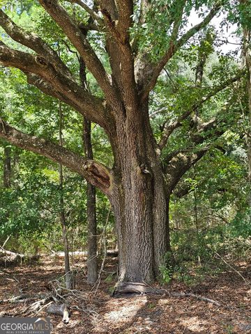 3047 John Burch Road, Folkston, GA 31537