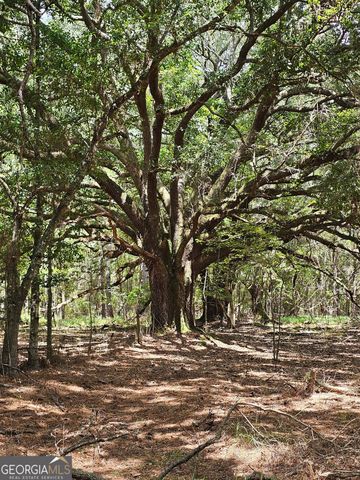 3047 John Burch Road, Folkston, GA 31537