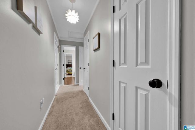 8224 OXFORD DRIVE, Morris, AL 35116