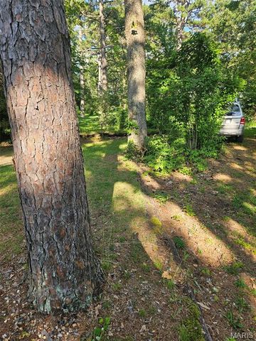 10209 Thunder Road, Richwoods, MO 63071