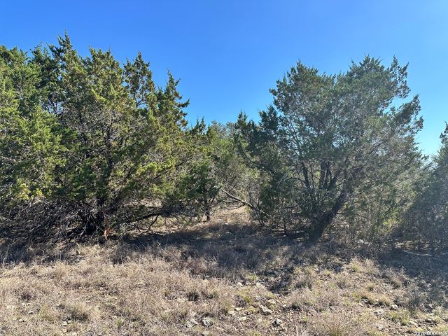323 TOUCAN DR, Spring Branch, TX 78070