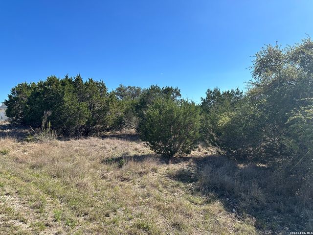 323 TOUCAN DR, Spring Branch, TX 78070