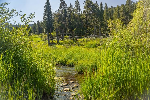 TBD Woodchuck Road, Bozeman, MT 59715